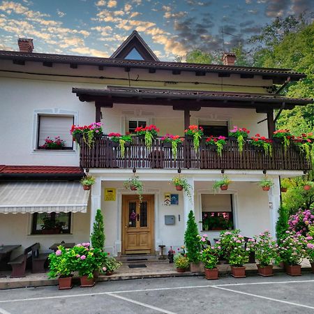 Villa Domacija Bubec Ilirska Bistrica Exterior foto